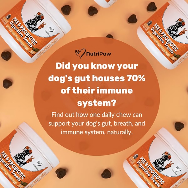 A square-format static ad featuring a bold scientific claim about canine gut health centered over a symmetrical arrangement of product tubs and treats.
